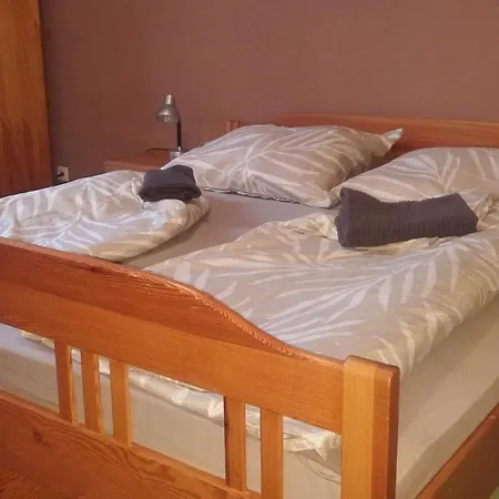 Lara 捷克布杰约维采